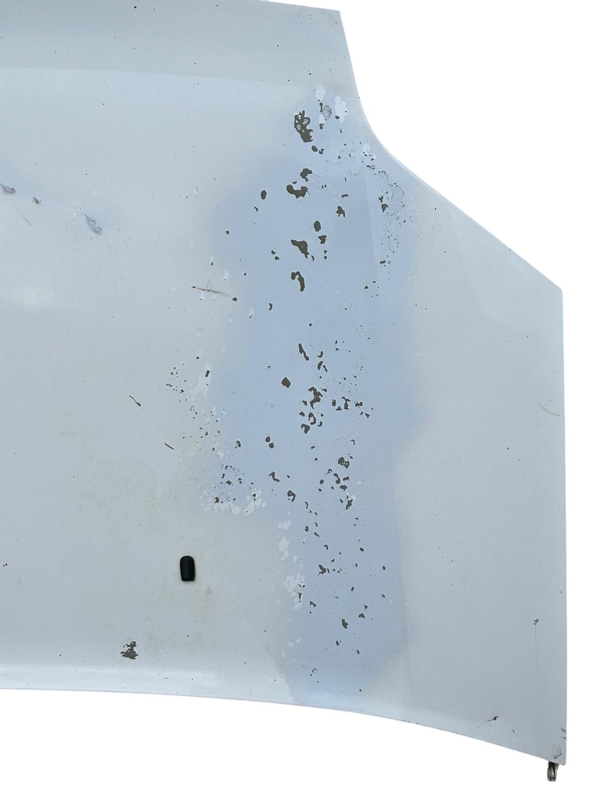 Cofano anteriore ford transit connect 2002/2012 