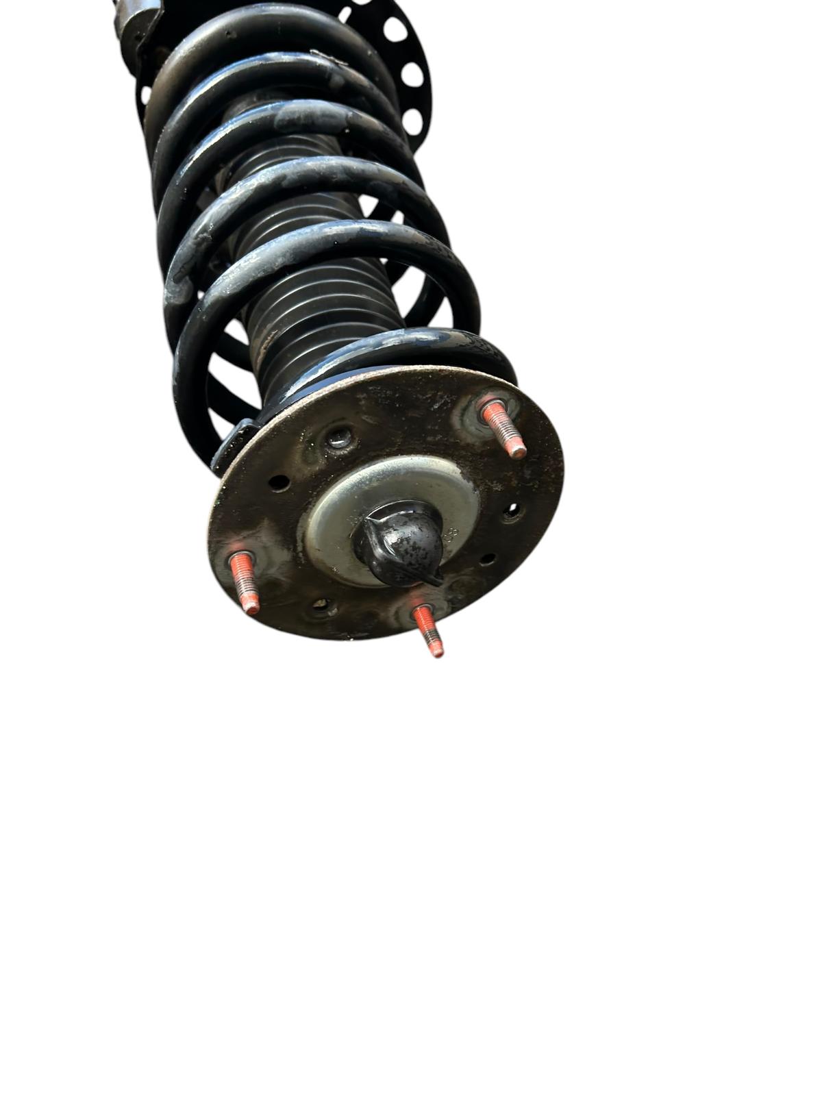 Ammortizzatori posteriore Land Rover Freelander 2 L359 2006/2014 LR005573G