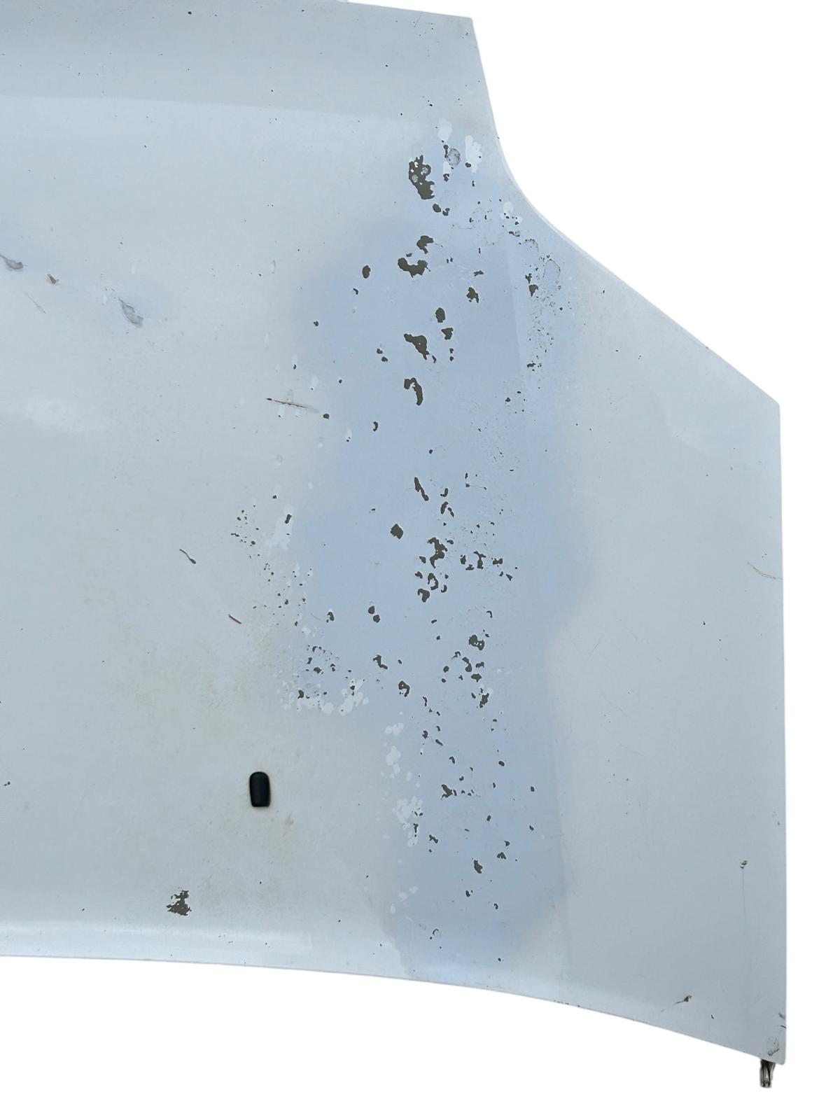 Cofano anteriore&nbsp; ford transit connect 2002/2012&nbsp;